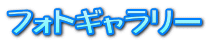 フォトギャラリー 