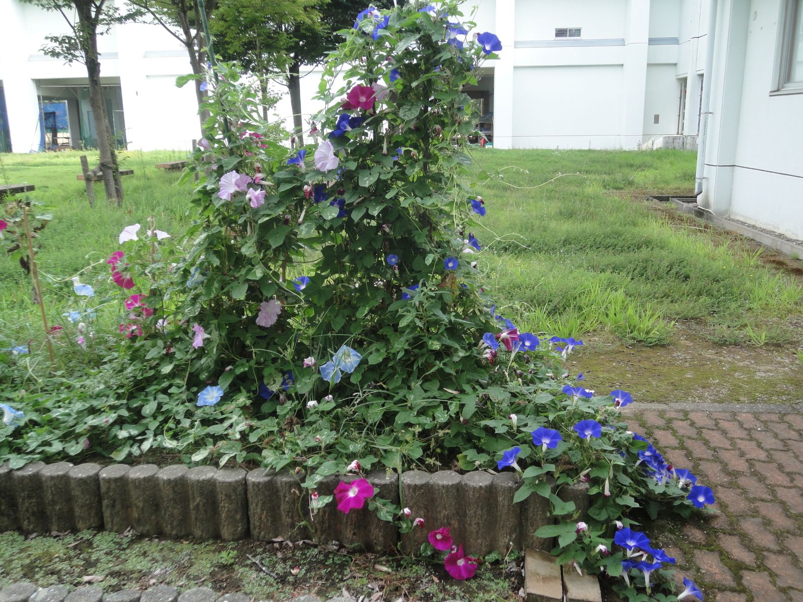 image35