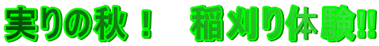 ̏HI@̌!!