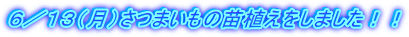 �U�^�P�R�i���j���܂����̕c�A�������܂����I�I