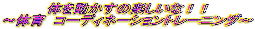 ̂𓮂̊yȁII `̈@R[fBl[Vg[jO` 