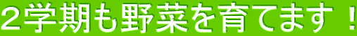 Qw؂Ă܂I