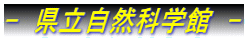 -�@�������R�Ȋw�ف@- 