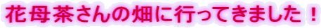 �ԕꒃ����̔��ɍs���Ă��܂����I