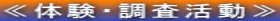 ̌E 