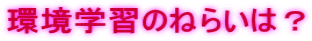 wK̂˂炢́H