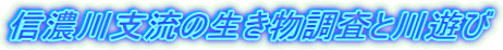 信濃川支流の生き物調査と川遊び 
