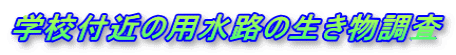 wZt߂̗pH̐