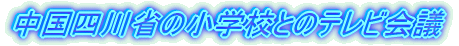 �����̏��w�Z�Ƃ̃e���r��c