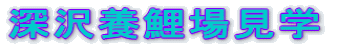 �[��{��ꌩ�w