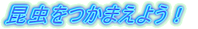 ���������܂��悤�I
