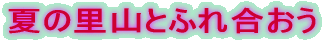 �Ă̗��R�Ƃӂꍇ����