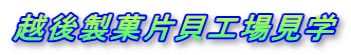 z㐻ٕЊLHꌩw