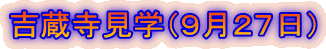 gwiXQVj 
