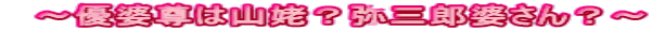 @`Dk͎RWHOYkH` 