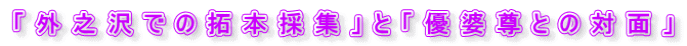 uOVł̑{̏WvƁuDkƂ̑Ζʁv 