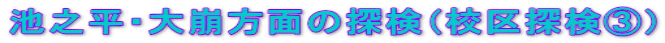 rVEʂ̒TiZTBj 