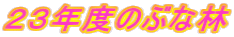 �����̊w������Ɋ��̎������󕨂�`���悤 