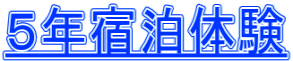�T�N�h���̌�