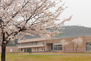 小千谷市民の家・小千谷信濃川水力発電館の桜