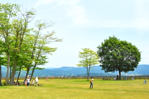 芝生広場の画像