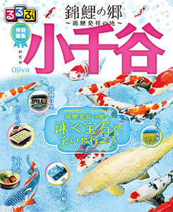 るるぶ特別編集「錦鯉の郷～錦鯉発祥の地～小千谷」の画像