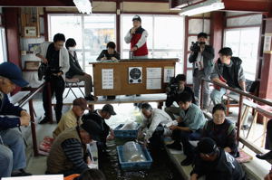 活気あふれる錦鯉市場の画像