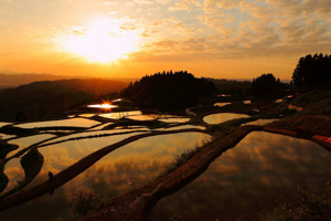 棚田の風景画像