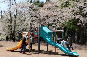 公園の遊具で遊ぶ子どもたちの画像