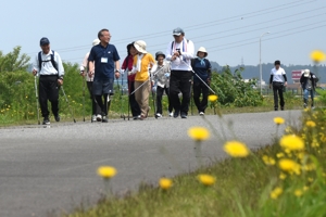 4.3キロメートルコースの参加者の画像