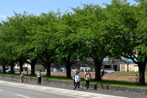 快晴の中、千谷運動公園に向かい歩く参加者の画像