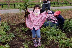 掘ったじゃがいもを見せる参加者の画像