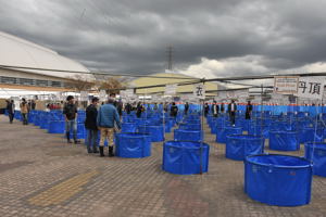 たくさんの水槽が並んだ会場の画像