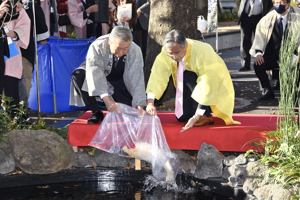 錦鯉の放流を行う大塚市長の画像