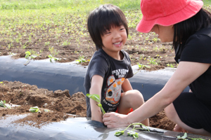 参加者の子どもが土に手を入れている画像