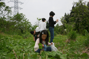 参加者の子どもが山菜を採る画像