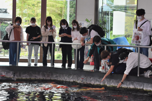 錦鯉のさっとを見学する学生のみなさんの画像