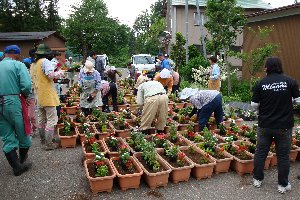 プランターに花の苗を植えるみなさんの画像