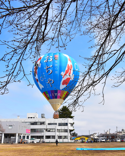 熱気球「おぢや号」と桜のつぼみの画像