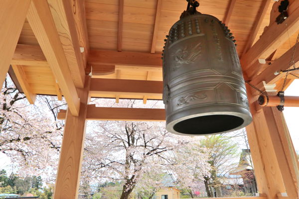 真福寺の鐘と桜の画像