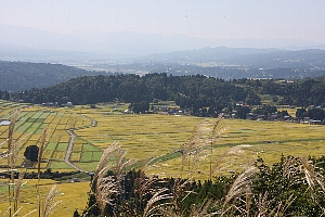 山本山から見た池ヶ原方面の画像