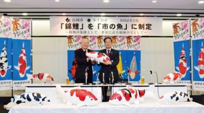 市の魚