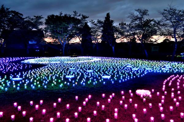オヂヤホタルロゴと天の川デザインのイルミネーションの画像