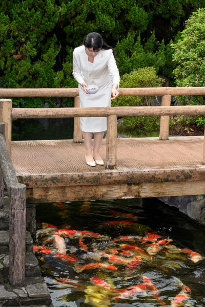 錦鯉に餌やりをする愛子さまの画像