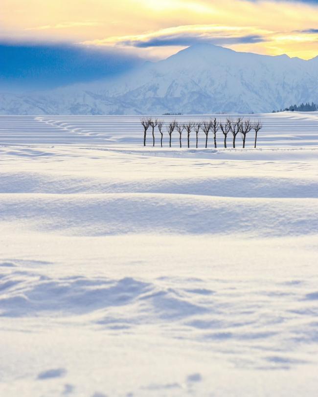 令和7年3月号のおぢフォトの画像