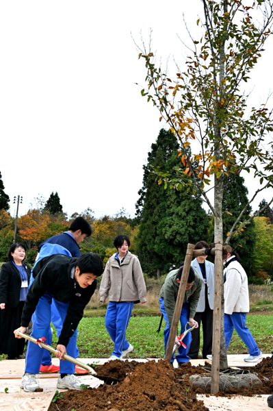 ブナの木の根元に土をかける南中学校の生徒の画像