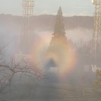 山本山の白虹の写真