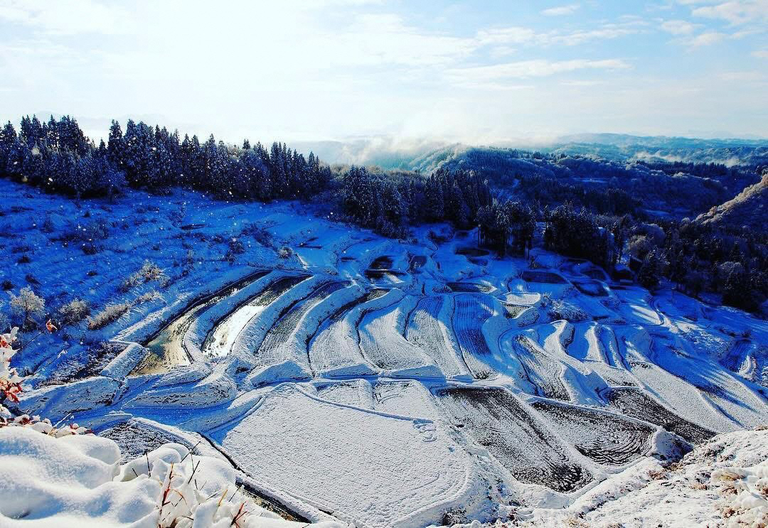 令和8年2月号のおぢフォトの画像