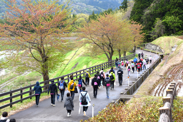 信濃川河岸段丘ウォークの画像