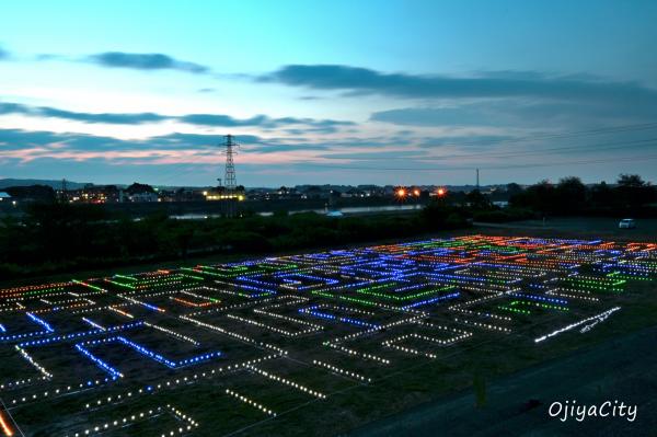 オヂヤホタル夏会場の様子
